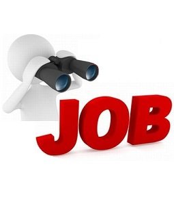 Search the Job that suits